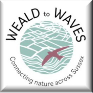 Weald To Waves Logo